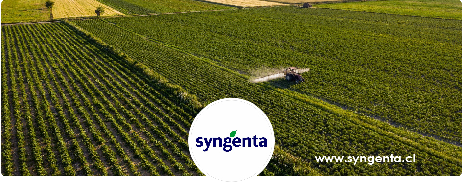 bannersyngenta