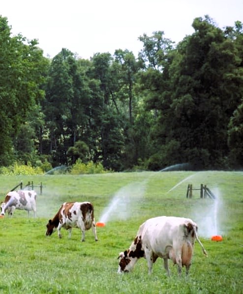 Seremi-de-Seremi-de-Agricultura-informo-que-agrupaciones-pueden-postular-hasta-el-23-de-agosto-a-este-instrumento-de-la-Comision-Nacional-de-Riego-CNR