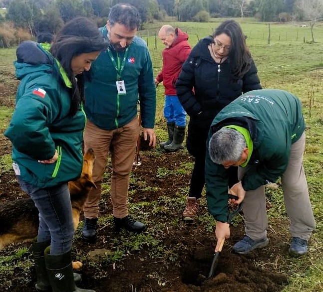 El-Consejo-Regional-CORE-adjudico-cerca-de-300-millones-de-pesos-a-un-programa-que-promueve-el-control-sustentable-de-esta-plaga