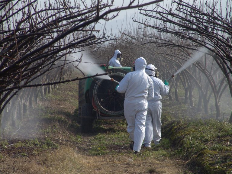 FISCALIZACION-DE-PLAGUICIDAS-5