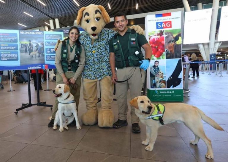 SAG lanza chatbot con IA para orientar a quienes salen de Chile con sus mascotas 2